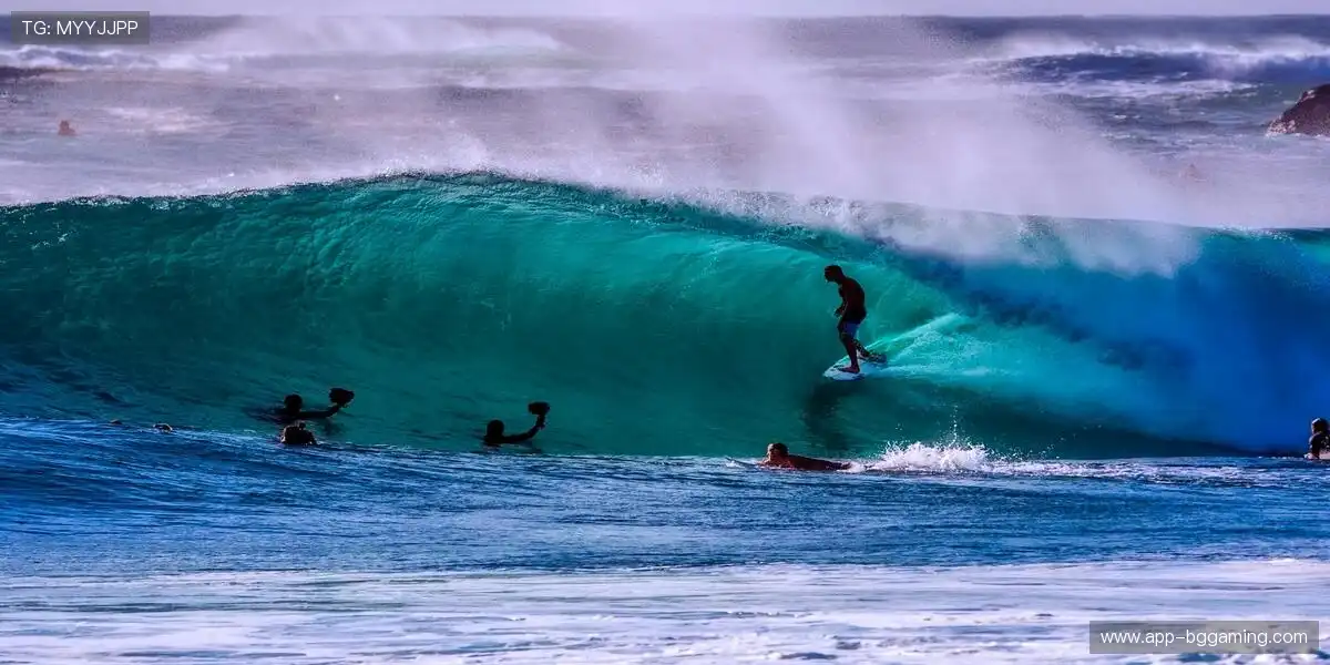 球迷专属，把热爱穿在身上！👕💪